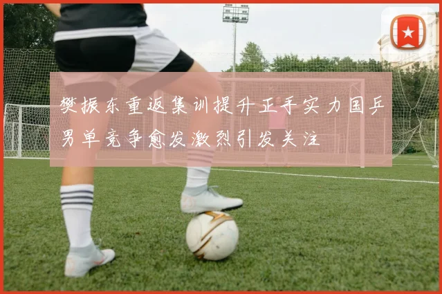 樊振东重返集训提升正手实力国乒男单竞争愈发激烈引发关注