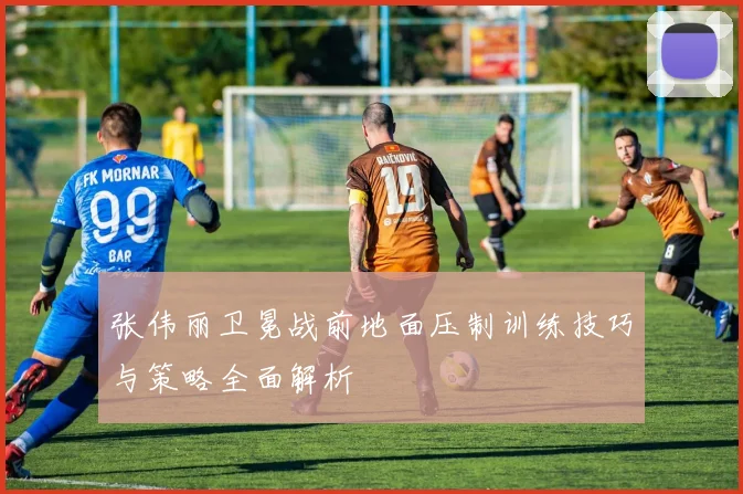 张伟丽卫冕战前地面压制训练技巧与策略全面解析